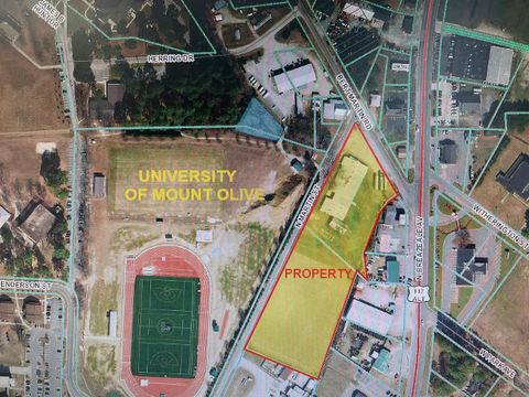 Vacant Land For Sale - 103 Bert Martin Road<br/> Mount Olive, NC 28365