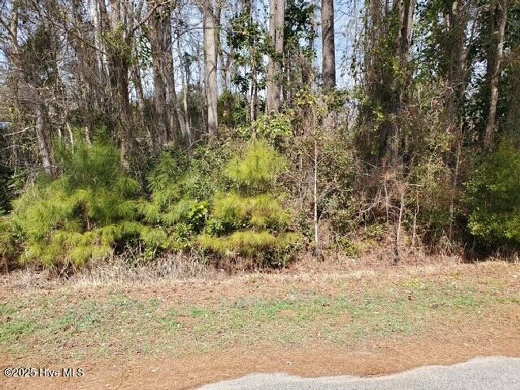 Photo of 652 Gervais Street SE, Bolivia, NC 28422 (MLS # 100493871)