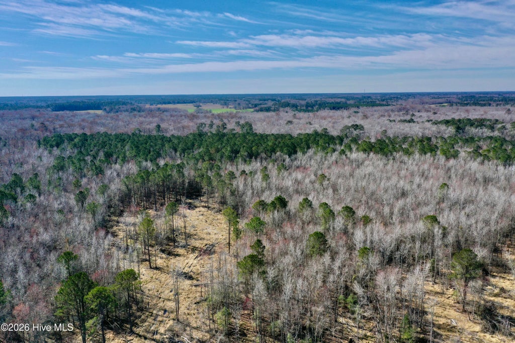 Photo of 3 Haynes Len Highway, Cerro Gordo, NC 28430 (MLS # 100605889)