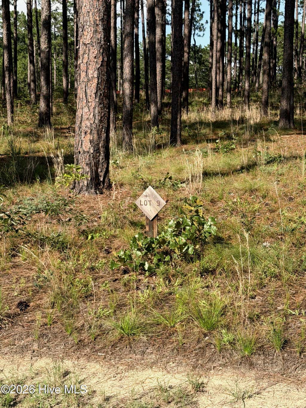 Photo of 481 N Fort Bragg Road, Southern Pines, NC 28387 (MLS # 100595854)