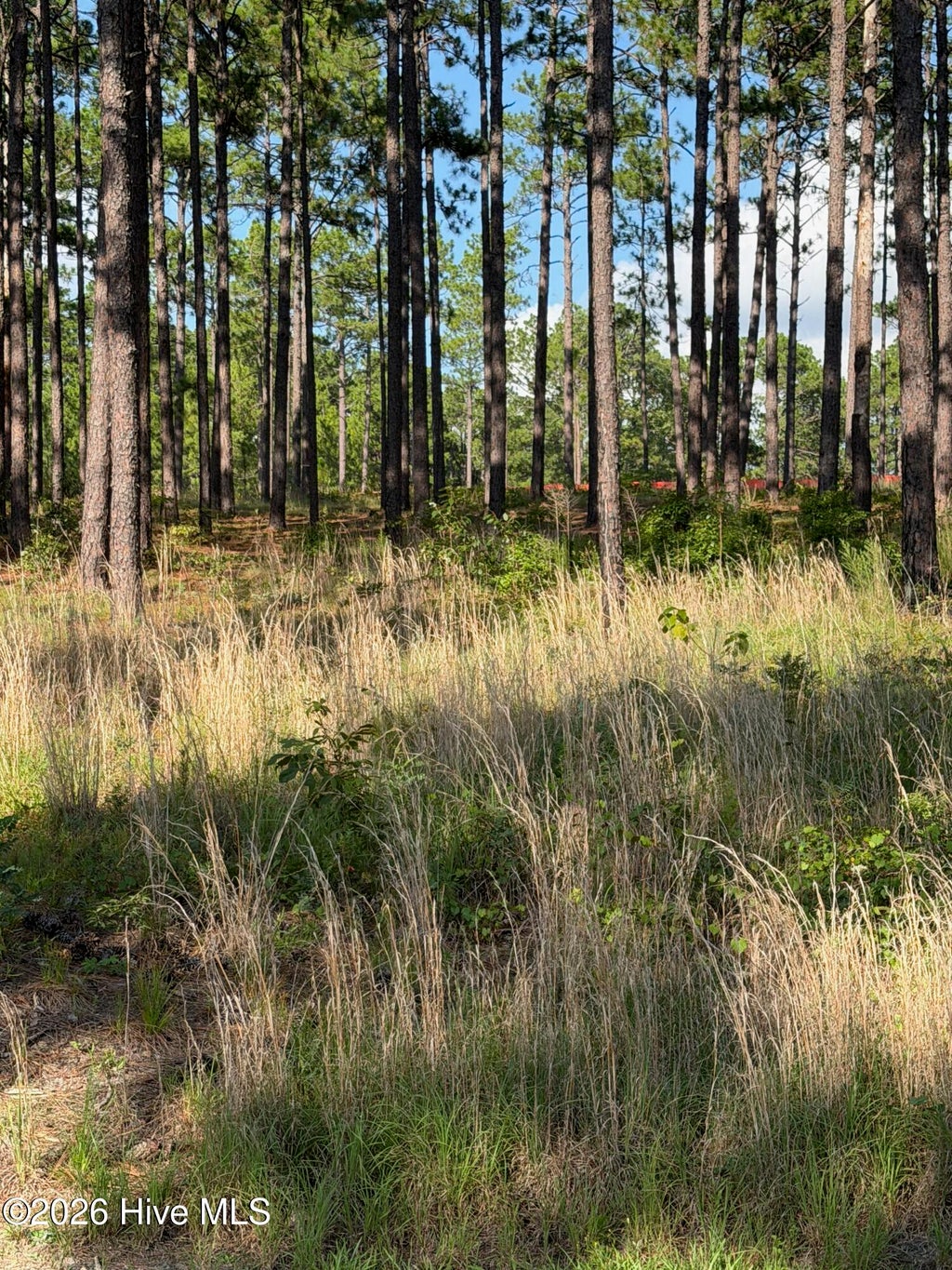 Photo of 481 N Fort Bragg Road, Southern Pines, NC 28387 (MLS # 100595854)
