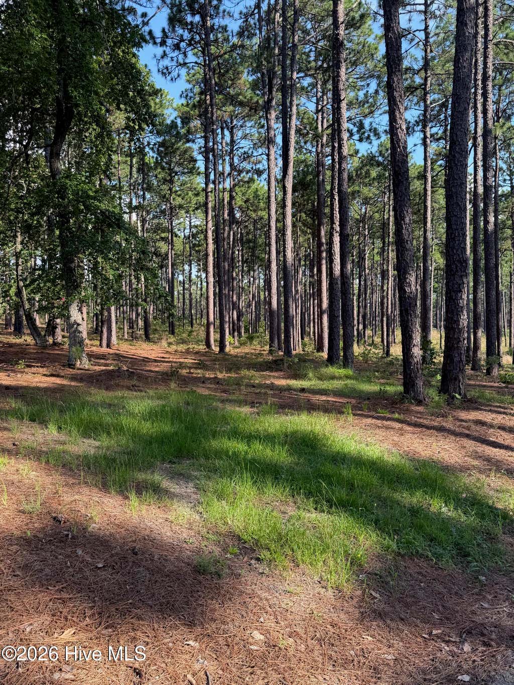Photo of 481 N Fort Bragg Road, Southern Pines, NC 28387 (MLS # 100595854)