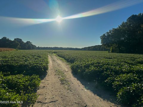 Vacant Land For Sale - 5355 Creech Road<br/> Lucama, NC 27851