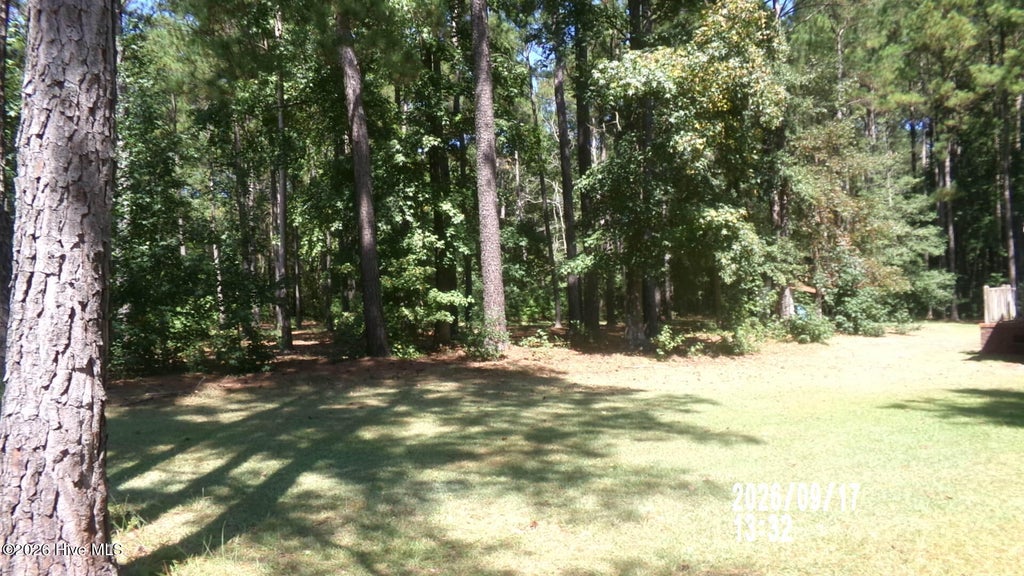Photo of 296 Hinson Lane, Richlands, NC 28574 (MLS # 100605259)
