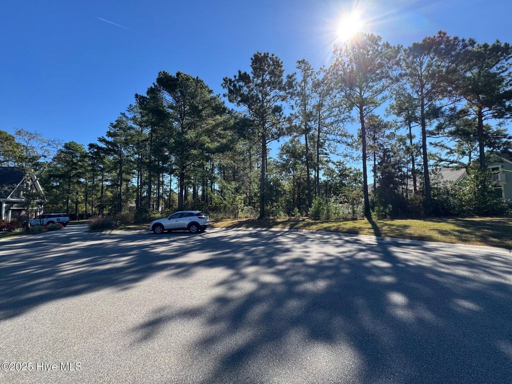 Photo of 9397 Grey Leaf Court NE, Leland, NC 28451 (MLS # 100537882)