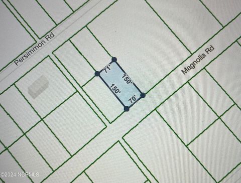 Tiny photo for 322323 Magnolia Road Road, Boiling Spring Lakes, NC 28461 (MLS # 100544490)