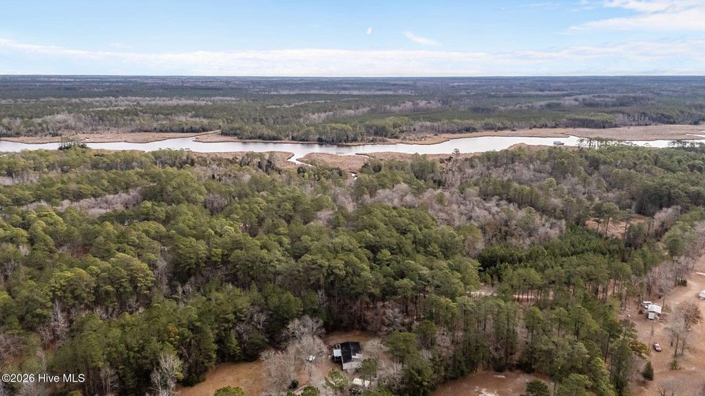 Photo of 290 Gold Finch Lane, New Bern, NC 28560 (MLS # 100549901)