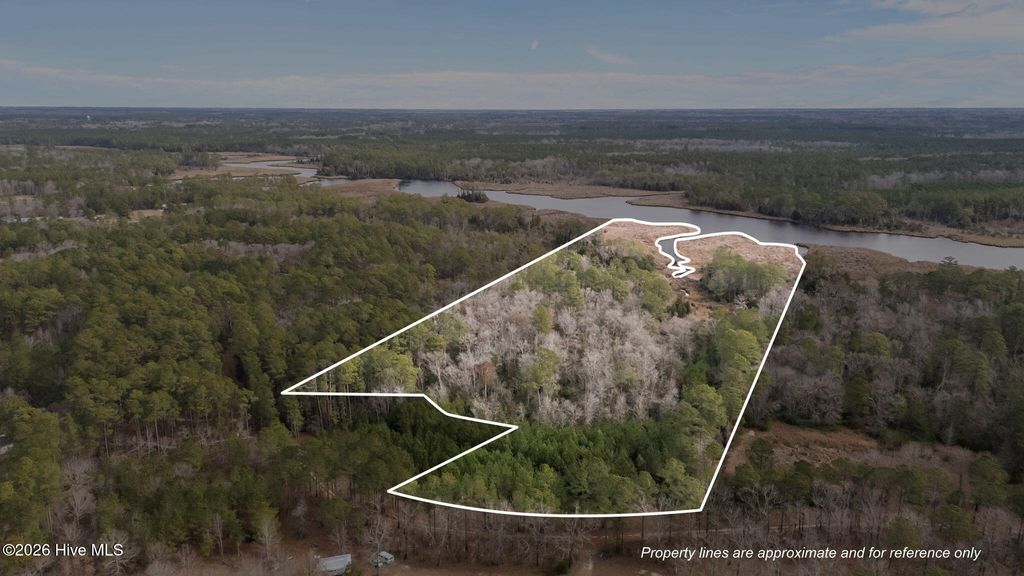 Photo of 290 Gold Finch Lane, New Bern, NC 28560 (MLS # 100549901)