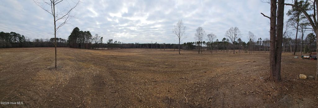 Photo of 4087 Batchelor Road, Nashville, NC 27856 (MLS # 100547820)