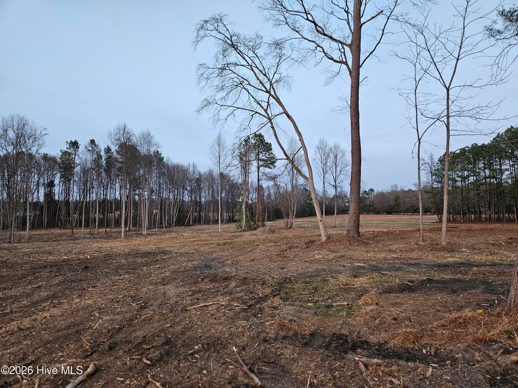 Photo of 4087 Batchelor Road, Nashville, NC 27856 (MLS # 100547820)