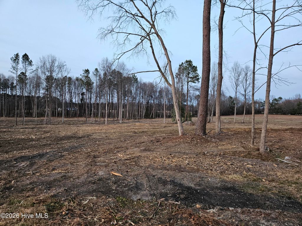 Photo of 4087 Batchelor Road, Nashville, NC 27856 (MLS # 100547820)