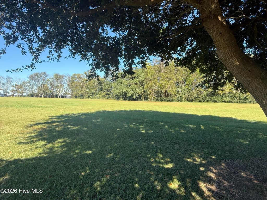 Photo of 114 Gov Eden House Road, Merry Hill, NC 27957 (MLS # 100559297)