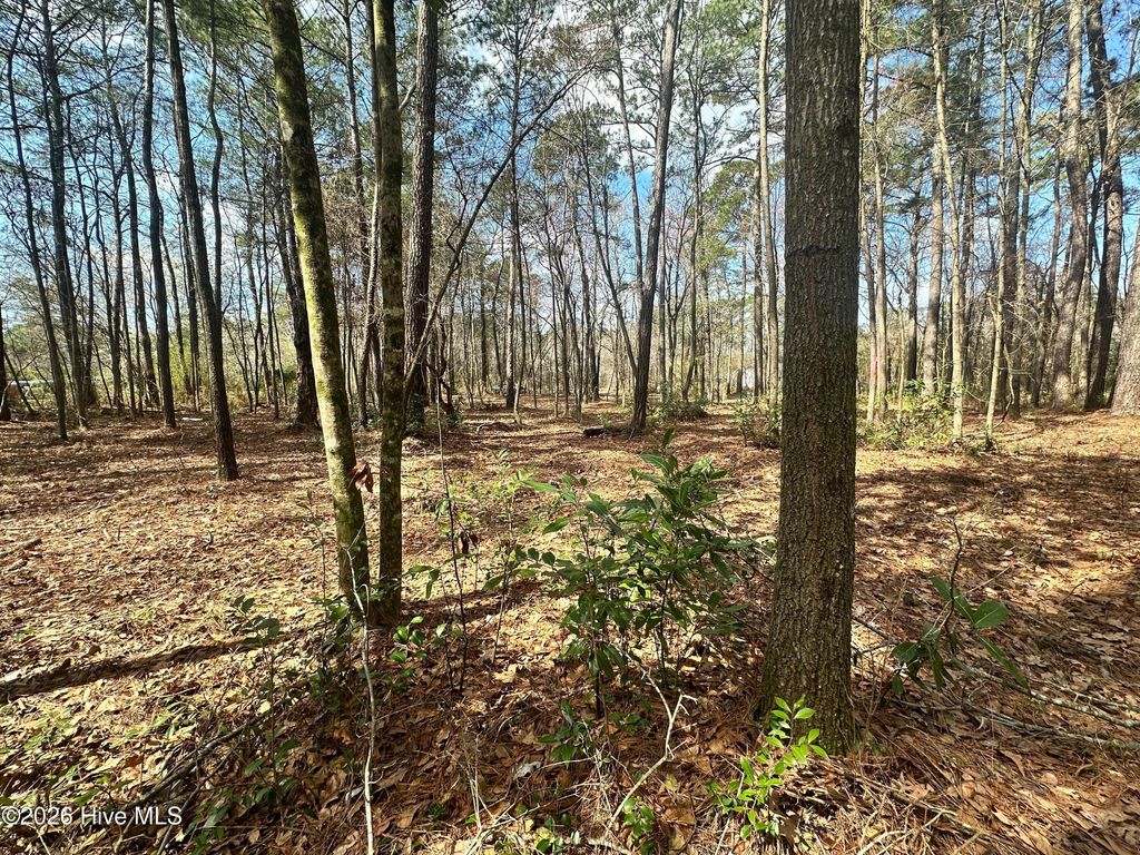 Photo of 257 Fire Tower Road, Richlands, NC 28574 (MLS # 100563671)