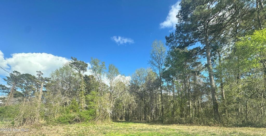 Photo of 257 Fire Tower Road, Richlands, NC 28574 (MLS # 100563671)