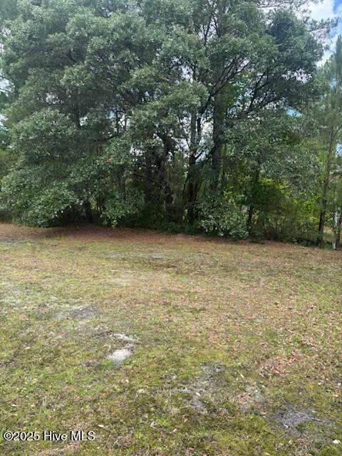 Vacant Land For Sale - Us 17 Highway<br/> Hampstead, NC 28443