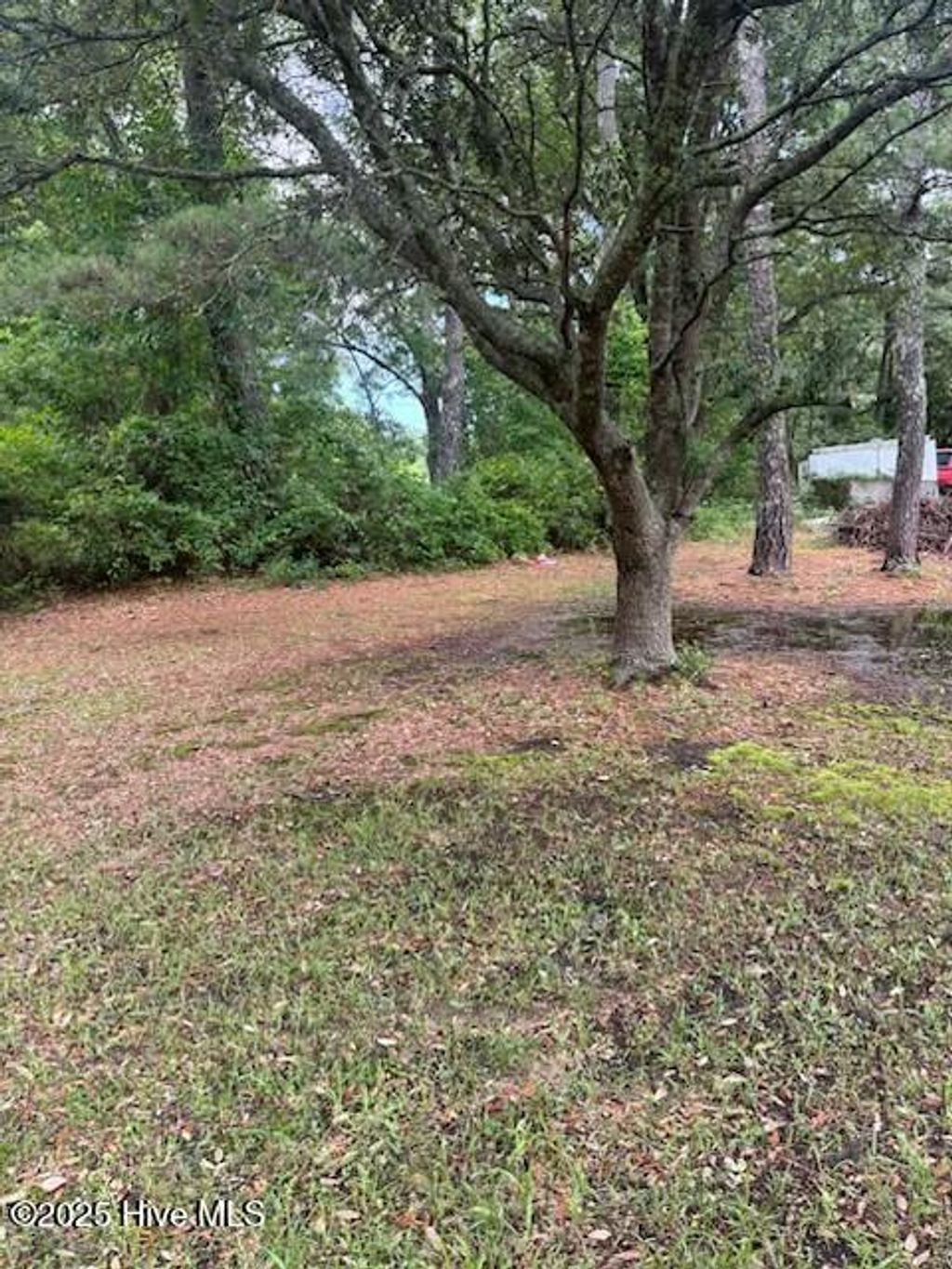 Photo of 0 Us 17 Highway, Hampstead, NC 28443 (MLS # 100515012)