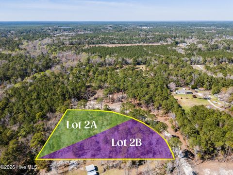 Tiny photo for 2 Crystal Court, Hampstead, NC 28443 (MLS # 100565025)