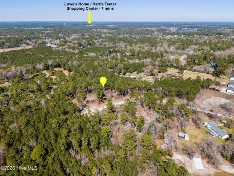 Tiny photo for 2 Crystal Court, Hampstead, NC 28443 (MLS # 100565025)