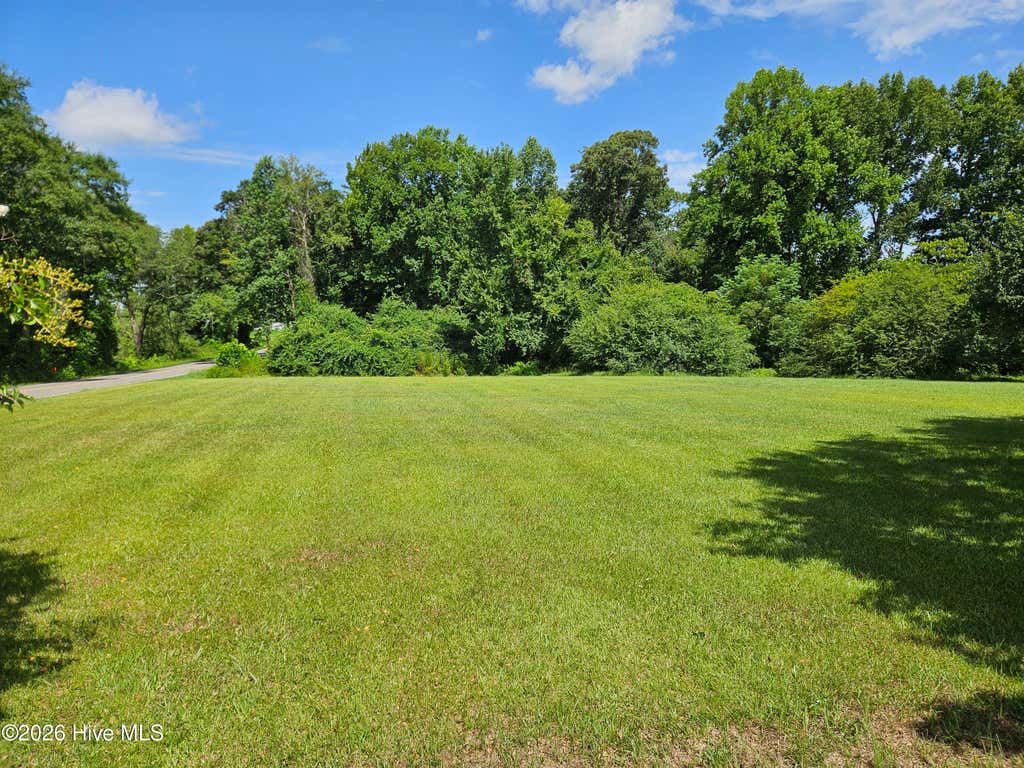 Photo of 4025 Beulah Road, Clinton, NC 28328 (MLS # 100591211)