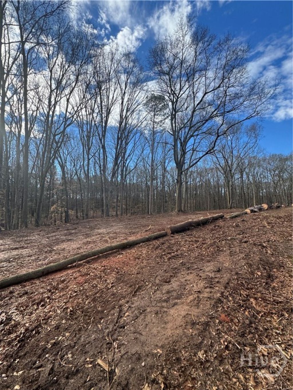 Photo of 260 Roosevelt Circle, Bowman, GA 30624 (MLS # CL349579)