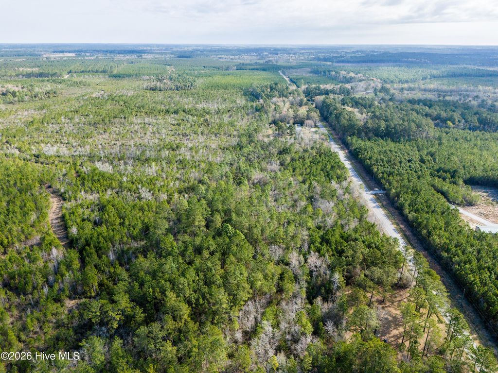 Photo of 272 Hardy Graham Road, Maple Hill, NC 28454 (MLS # 100563275)