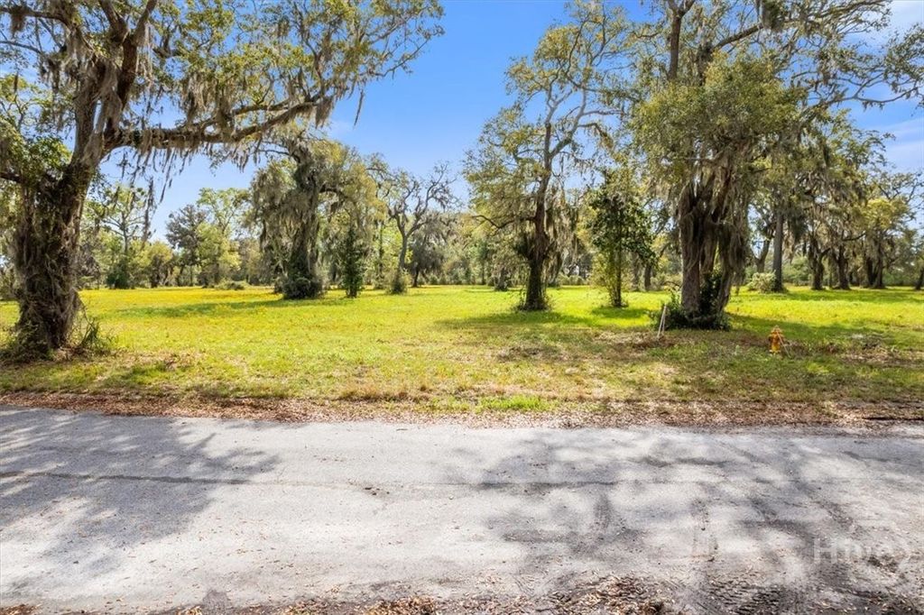 Photo of 24 Bermuda Bluff Lane, Midway, GA 31320 (MLS # SA347941)