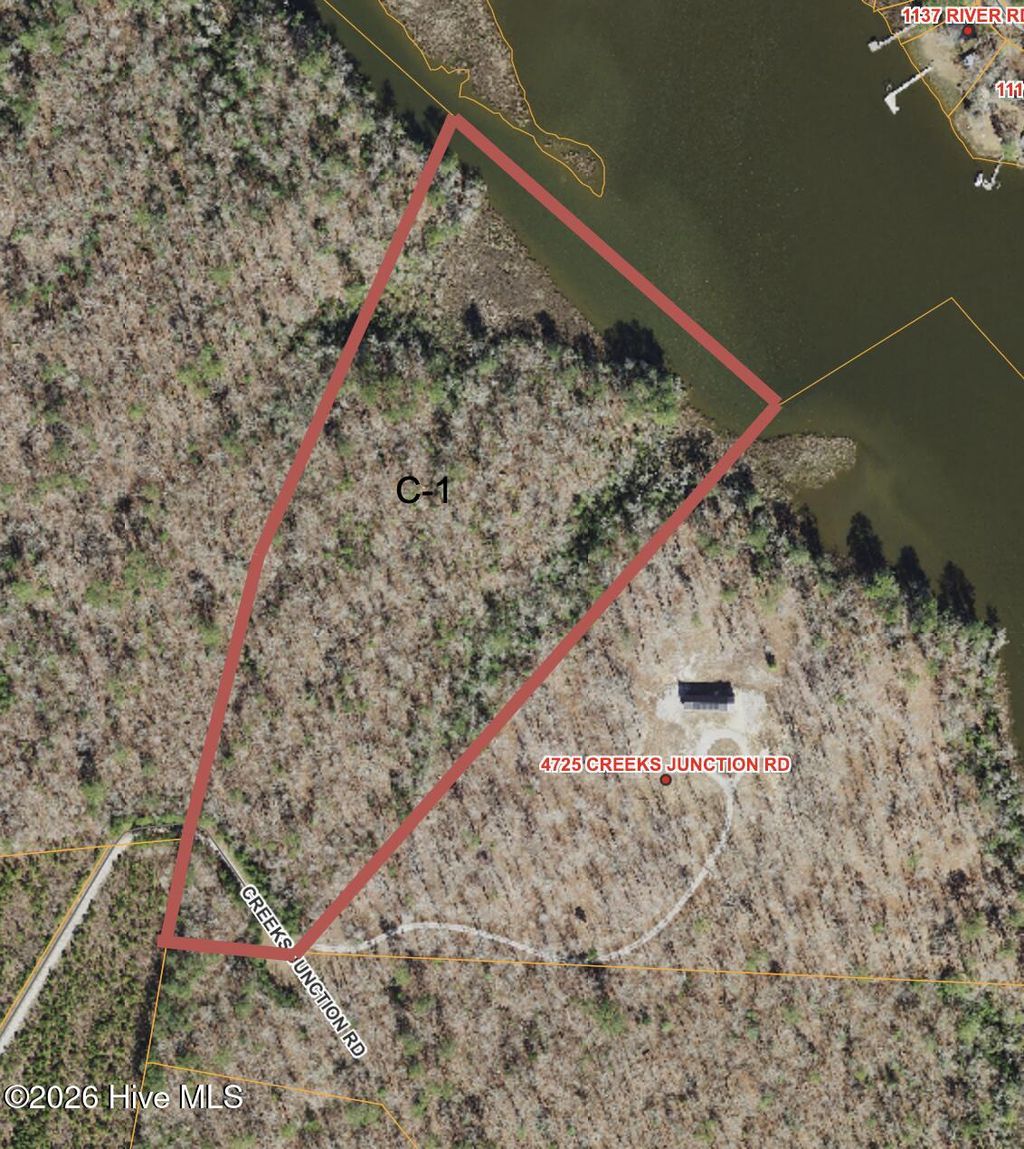 Photo of 1 Sr 1103 Off, Blounts Creek, NC 27814 (MLS # 100553094)