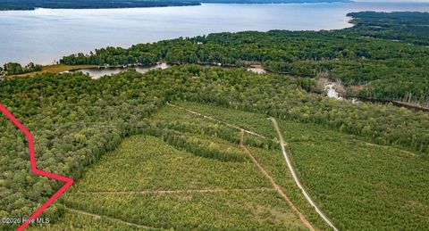 Vacant Land For Sale - C-1 Sr 1103 Off<br/> Blounts Creek, NC 27814