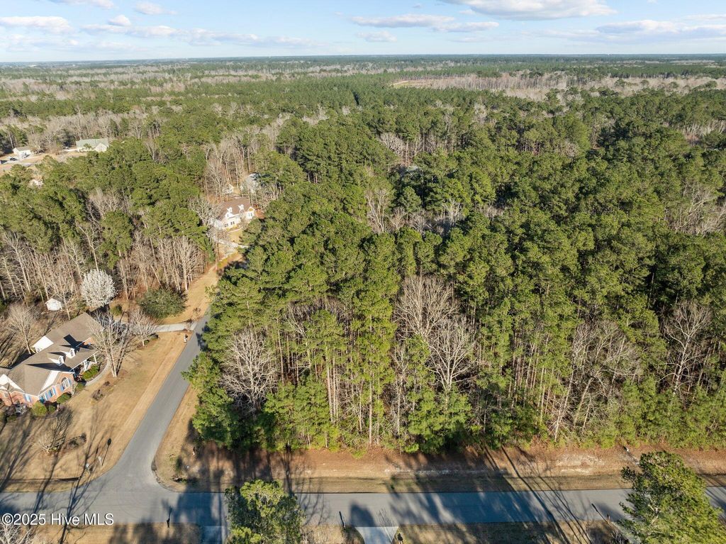 Photo of 118 Wildflower Way, Pollocksville, NC 28573 (MLS # 100562361)