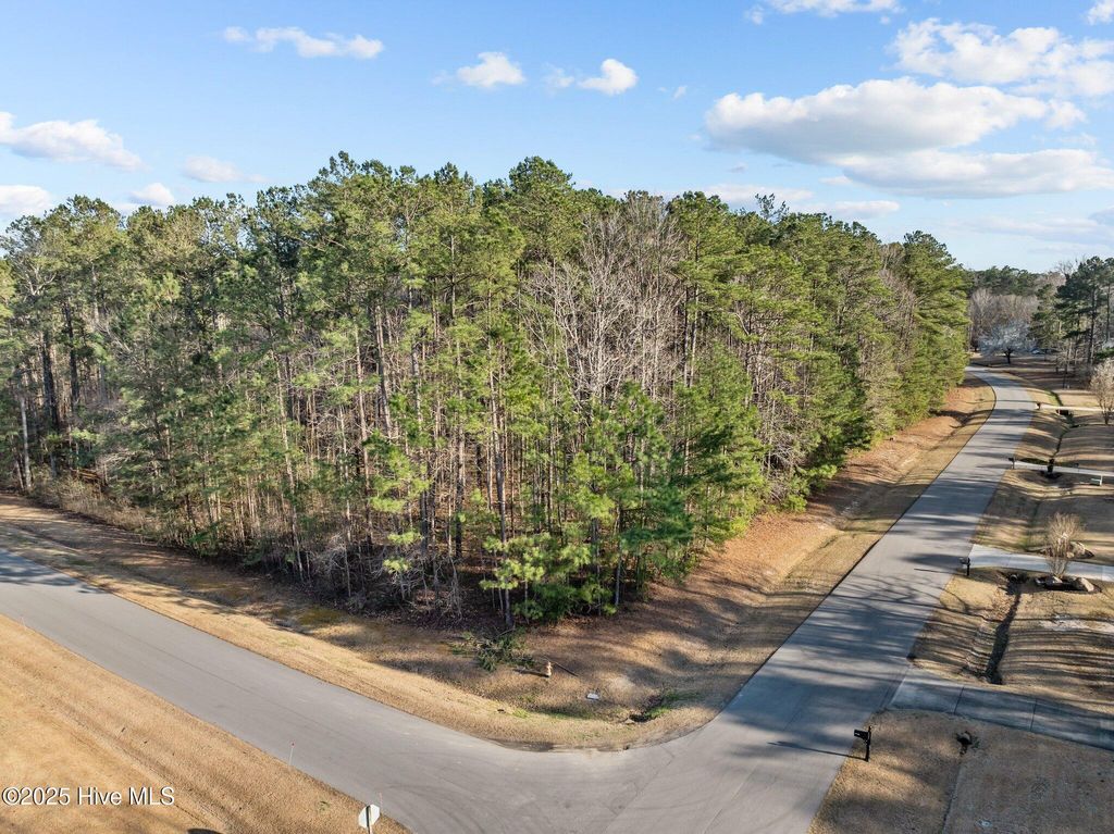 Photo of 118 Wildflower Way, Pollocksville, NC 28573 (MLS # 100562361)