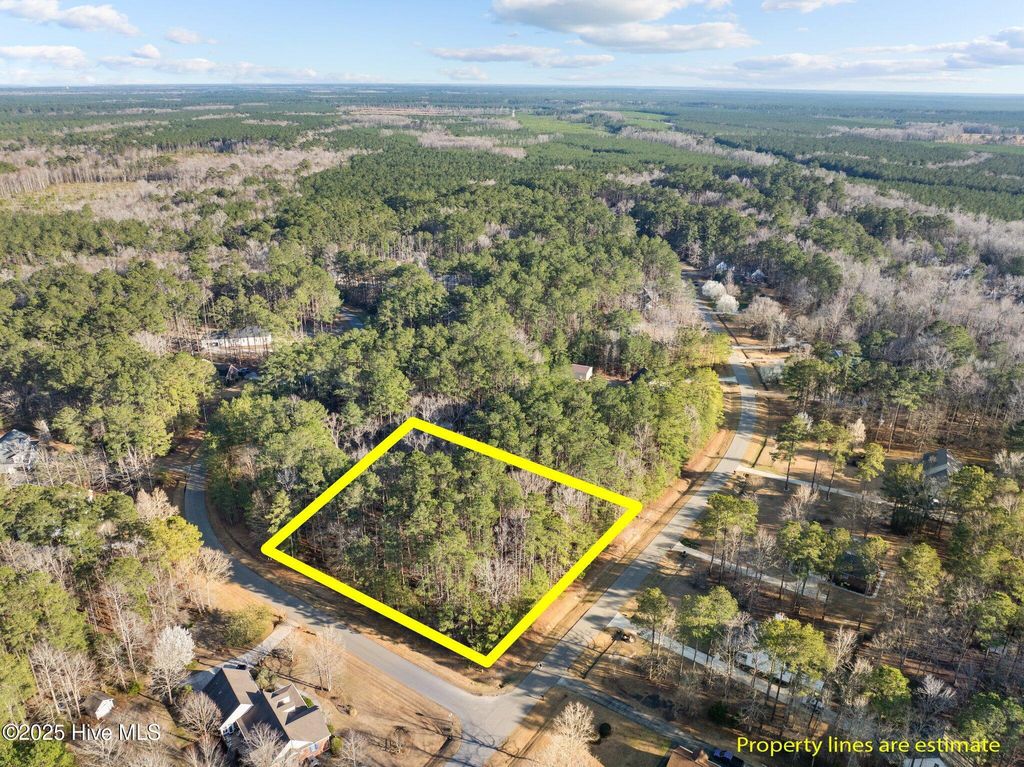 Photo of 118 Wildflower Way, Pollocksville, NC 28573 (MLS # 100562361)