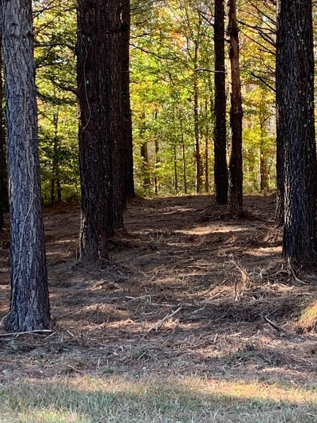 Photo of 242 Plumtree Circle, Edenton, NC 27932 (MLS # 100548982)