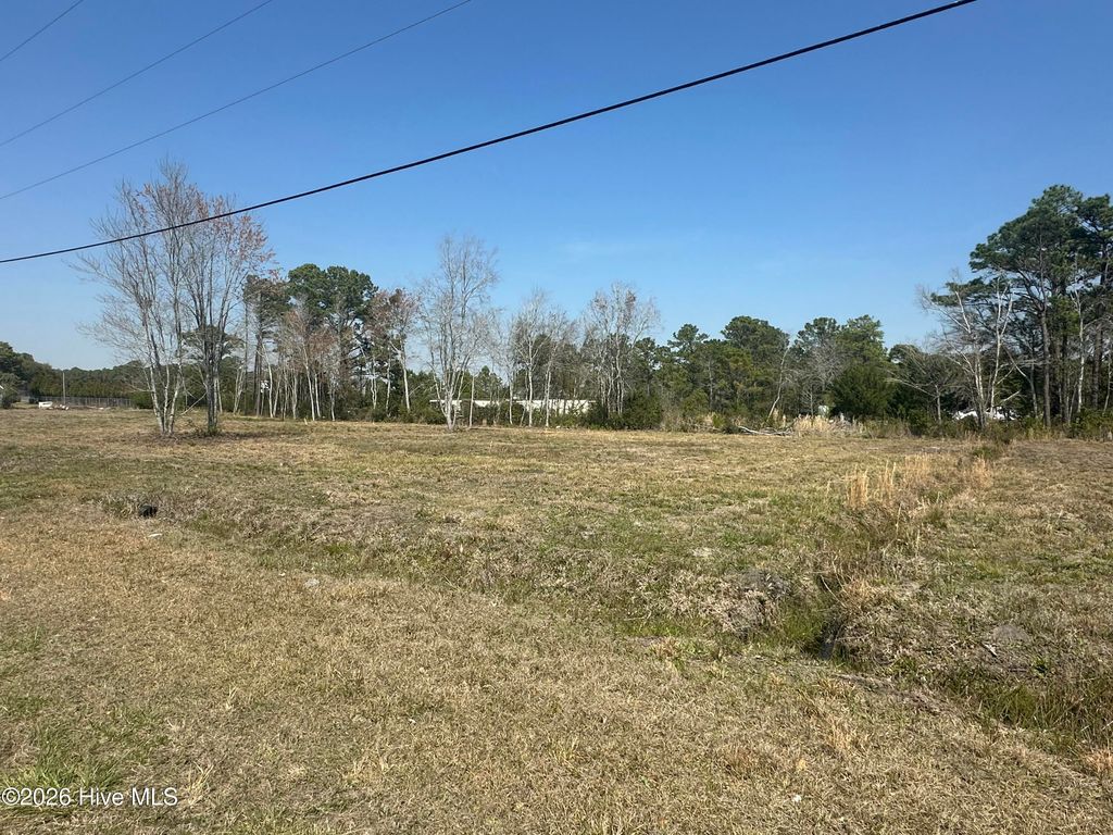 Photo of 131 Edens Lane, Hampstead, NC 28443 (MLS # 100562206)