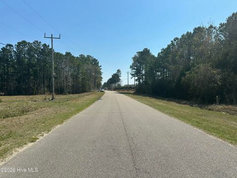 Tiny photo for 131 Edens Lane, Hampstead, NC 28443 (MLS # 100562206)