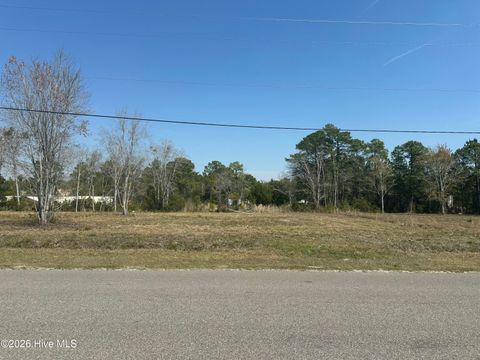 Photo of 131 Edens Lane, Hampstead, NC 28443 (MLS # 100562206)