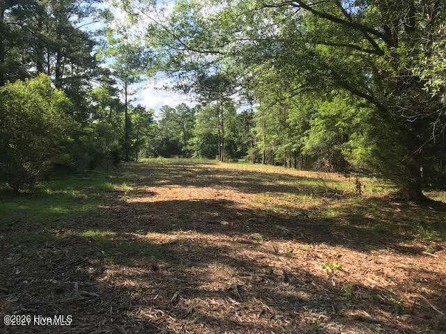 Photo of 8 Weatherby Drive, Merritt, NC 28556 (MLS # 100583387)