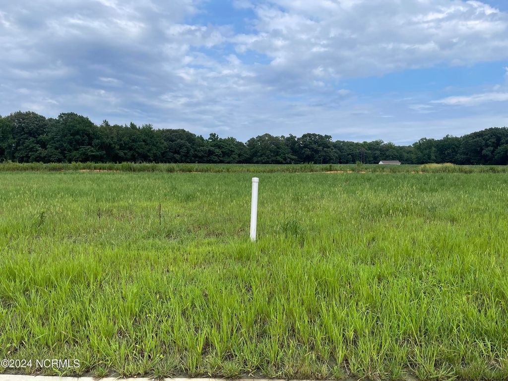 Photo of 419 Lemonade Lane, Grimesland, NC 27837 (MLS # 100545027)