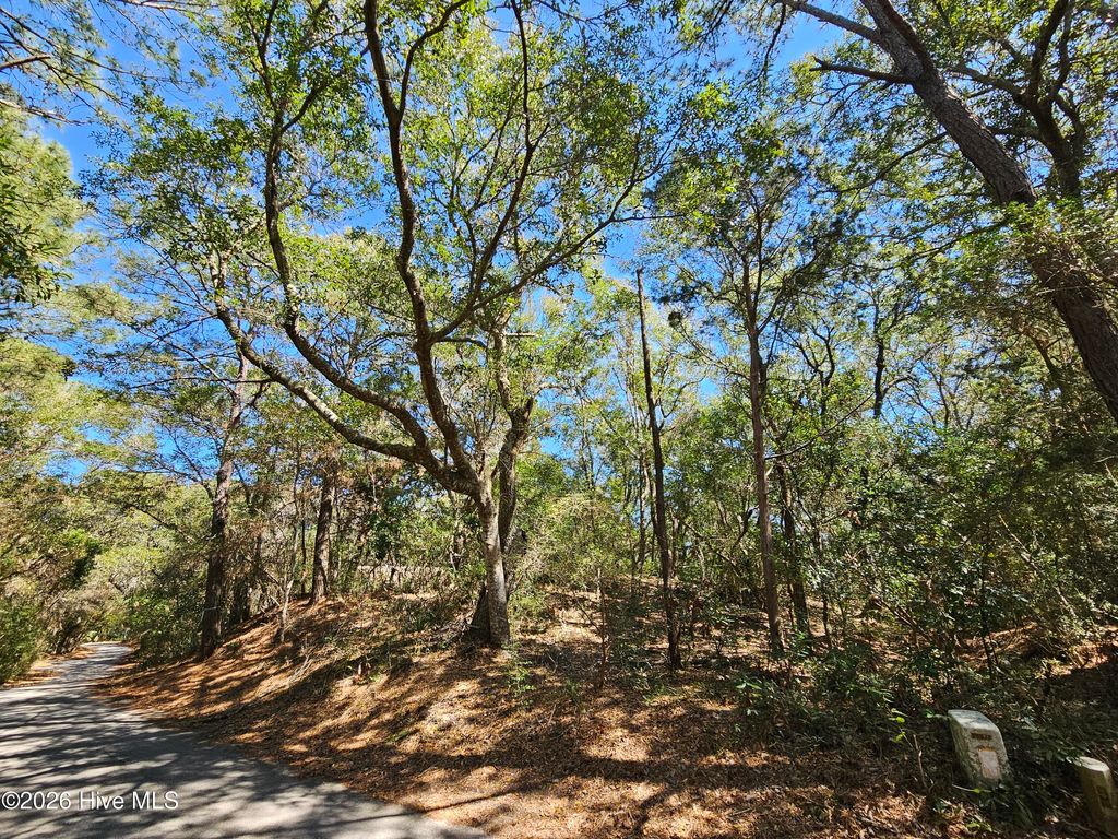 Photo of 39 Fort Holmes Trail, Bald Head Island, NC 28461 (MLS # 100560654)