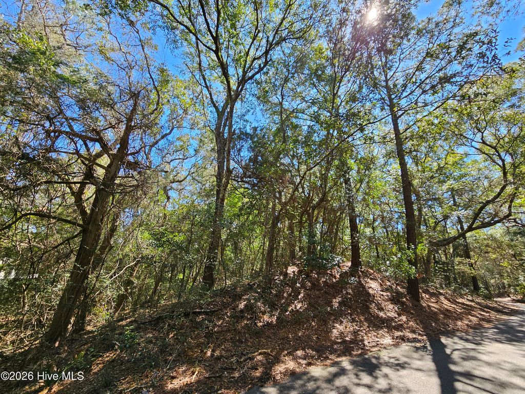 Photo of 39 Fort Holmes Trail, Bald Head Island, NC 28461 (MLS # 100560654)