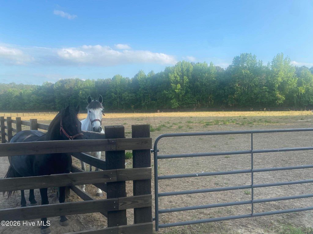 Photo of 52 Fellowship Church Road, Princeton, NC 27569 (MLS # 100570457)