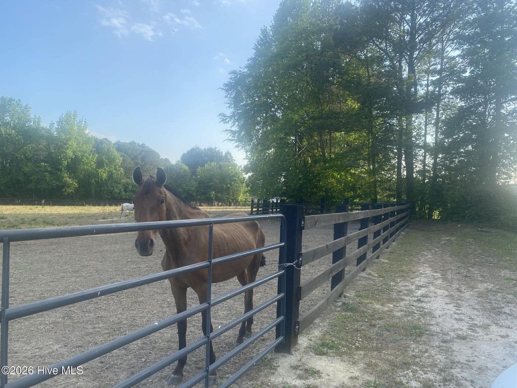 Photo of 52 Fellowship Church Road, Princeton, NC 27569 (MLS # 100570457)