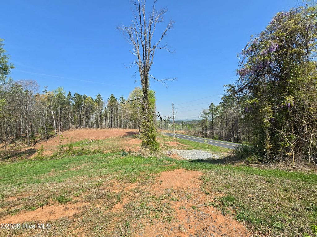 Photo of 3123 Everett Chappell Road, Ellerbe, NC 28338 (MLS # 100562893)