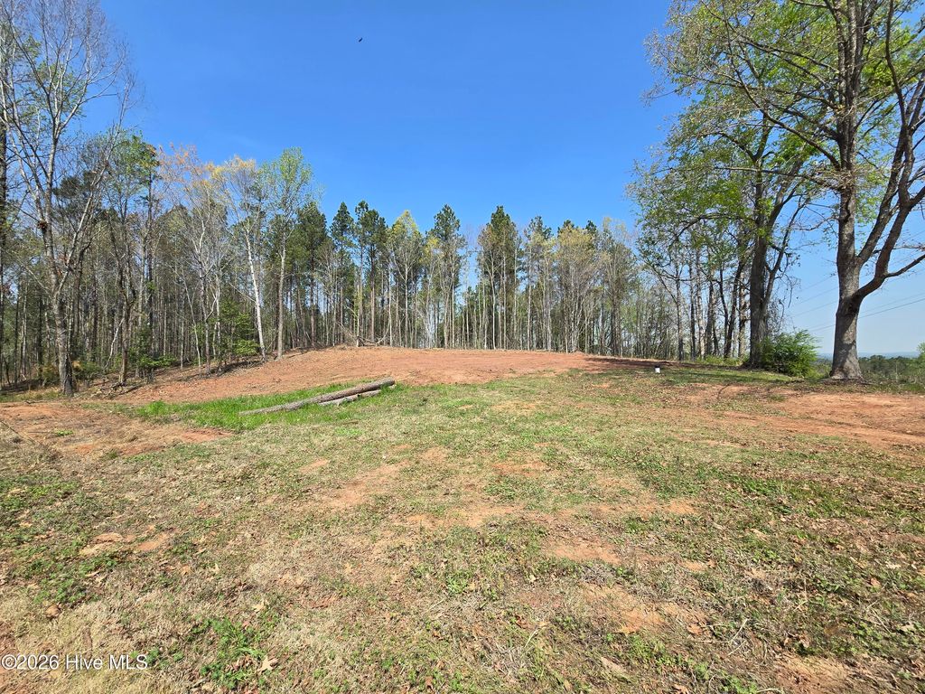 Photo of 3123 Everett Chappell Road, Ellerbe, NC 28338 (MLS # 100562893)