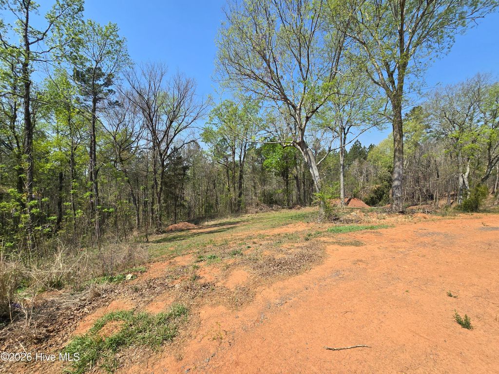 Photo of 3123 Everett Chappell Road, Ellerbe, NC 28338 (MLS # 100562893)