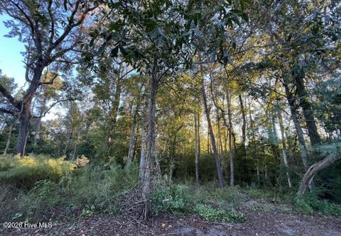 Vacant Land For Sale - 640 Quinn Drive<br/> Wilmington, NC 28411