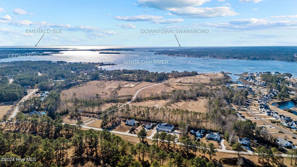 Photo of 246 Amphitheater Drive, Swansboro, NC 28584 (MLS # 100555494)