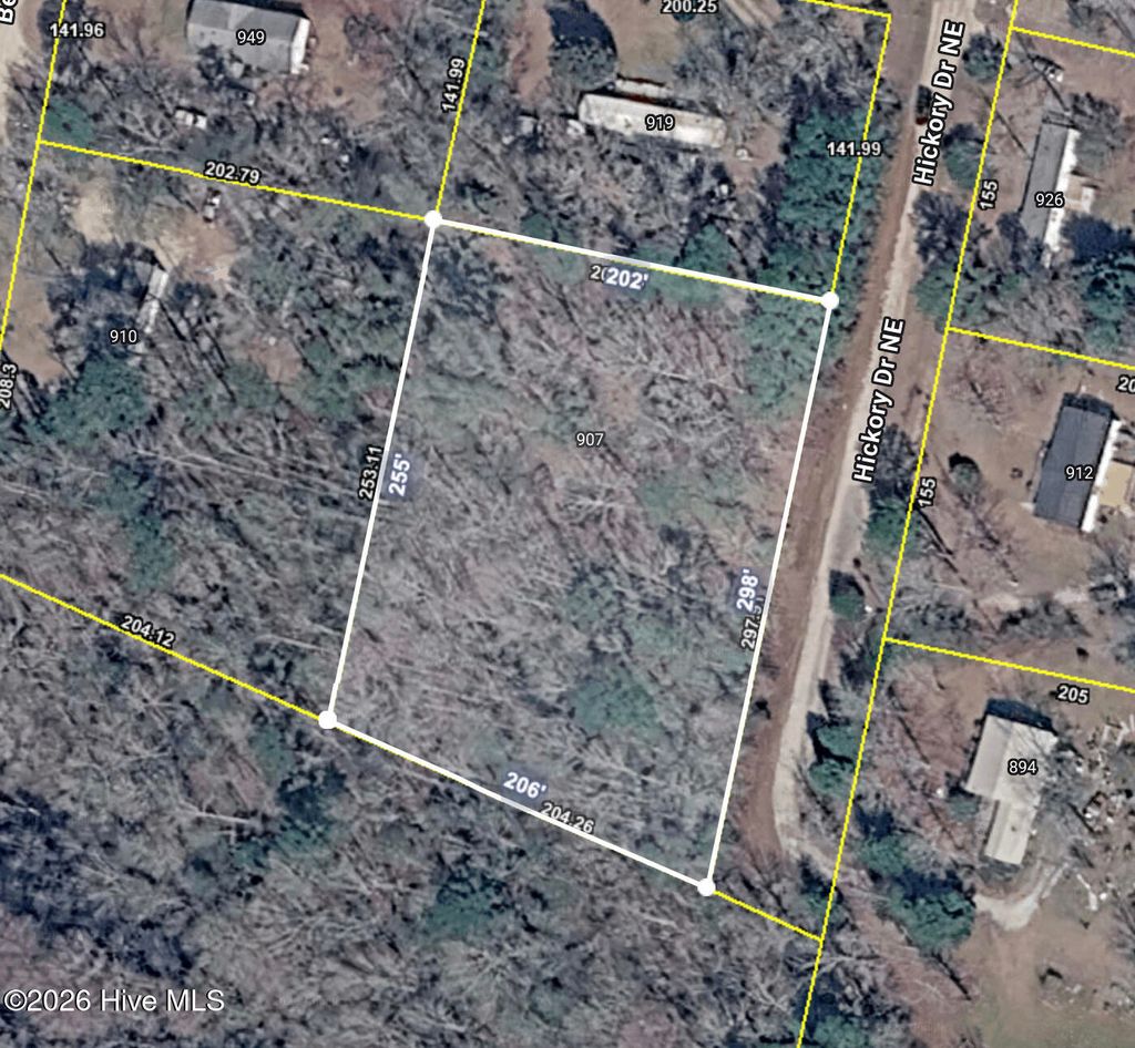 Photo of 907 Hickory Drive NE, Leland, NC 28451 (MLS # 100576425)