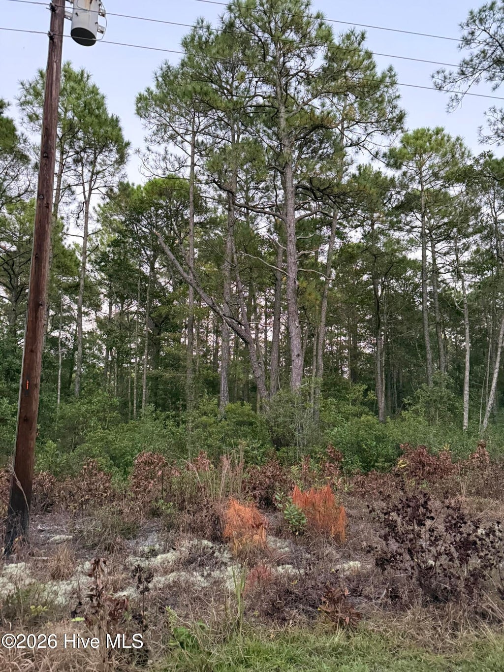 Photo of 16031619 Breezeway Drive SW, Ocean Isle Beach, NC 28469 (MLS # 100610617)