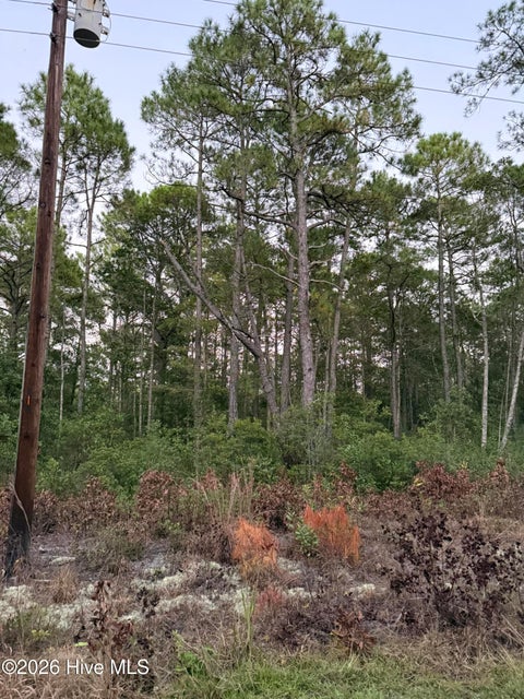 Tiny photo for 1603 Breezeway Drive SW, Ocean Isle Beach, NC 28469 (MLS # 100610617)