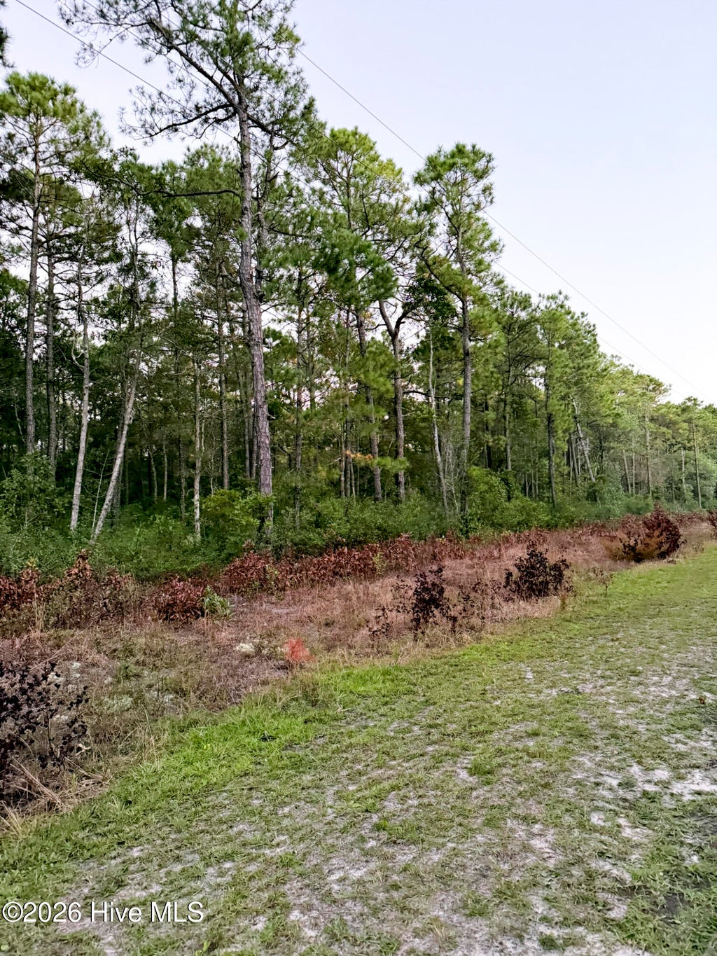 Photo of 16031619 Breezeway Drive SW, Ocean Isle Beach, NC 28469 (MLS # 100610617)